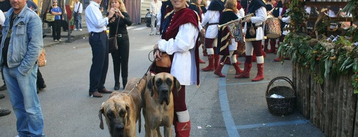 Sagra Della Castagna is one of Lieux qui ont plu à Manuela.