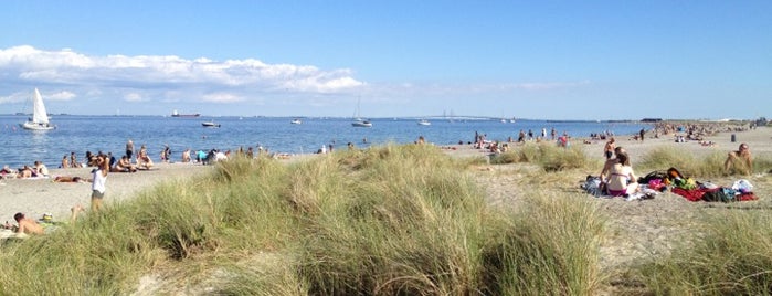 Parque de la Playa Amager is one of To do in Copenhagen.
