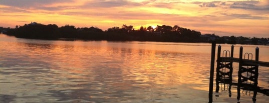 Best places in New Port Richey, FL