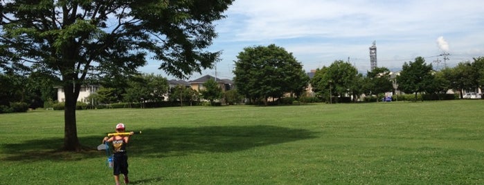 入西公園 is one of Lugares favoritos de Minami.