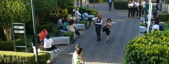 Universidad del Valle de México is one of Universidades Ciudad de México.