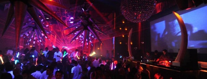 SET Nightclub is one of Best parties to attend in South Beach.