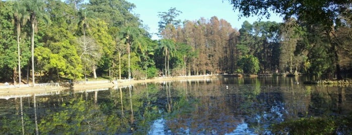Parque Estadual Alberto Löfgren (Horto Florestal) is one of PARQUES.