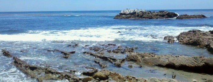 Tide Pools is one of To do Laguna Beach.