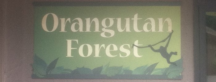 Hubbard Orangutan Forest is one of Locais curtidos por Marni.