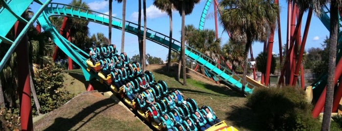 Kumba is one of Must Do at Busch Gardens Tampa.