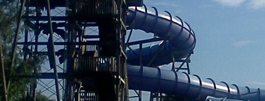 Adventure Island is one of Tampa Bay Attractions.