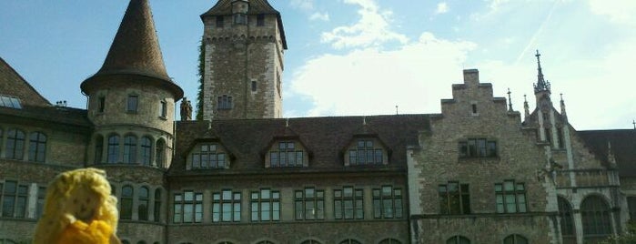 Landesmuseum Zürich is one of Museus.