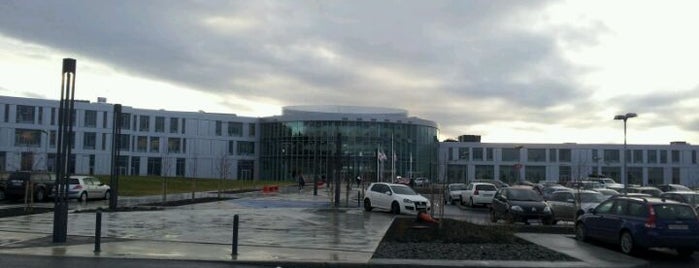 Háskólinn í Reykjavík is one of Yarışmayla Yap'ılanlar.