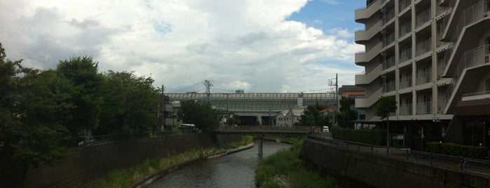和田橋 is one of 帷子川に架かる橋と周辺の公園・史跡.