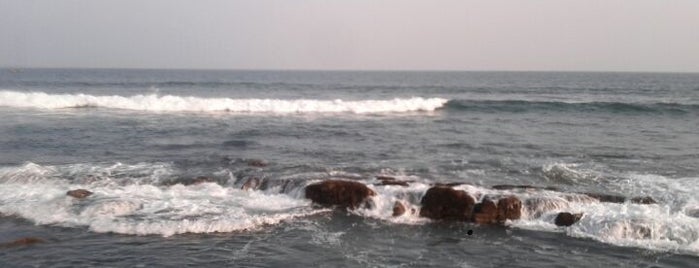 Rushikonda Beach is one of Best of Andhra Pradesh.