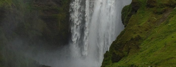 Skógafoss is one of Iceland Trip.
