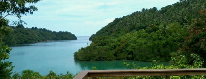 Divers Lodge Lembeh is one of INDONESIA Best of the Best #1: The Nature.