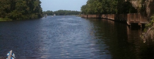 Lake Tarpon is one of Things to do in Tampa Bay.