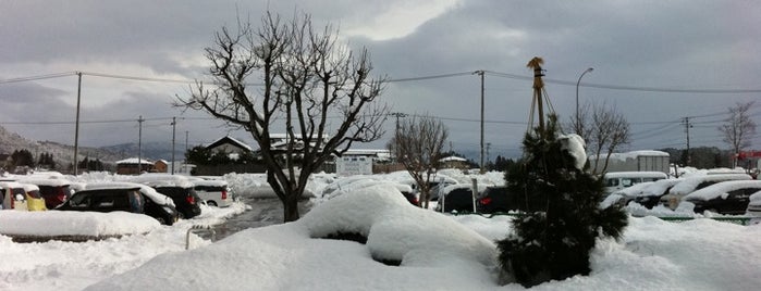 Shin-Hanamaki Station is one of 東北新幹線.