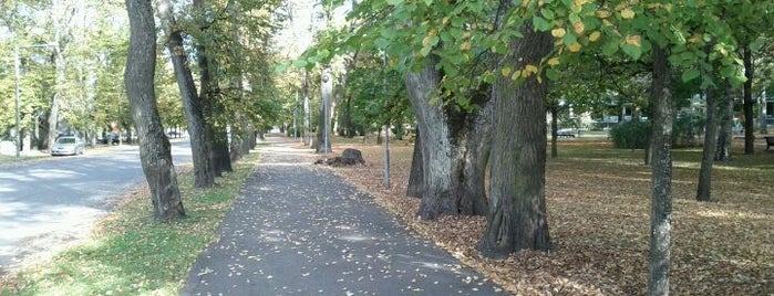 Parks of Pärnu