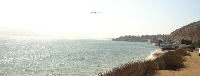 Amarillo Beach is one of สถานที่ที่ Neal ถูกใจ.