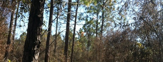 Goldhead Branch State Park is one of Orte, die Matt gefallen.