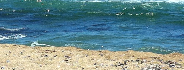 Playa Montoya is one of April.