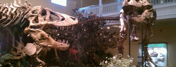 Carnegie Museum of Natural History is one of The Best of Pittsburgh, Pennsylvania #visitUS.