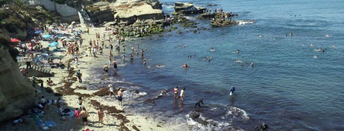 La Jolla Cove is one of The Beach Spots of San Diego.