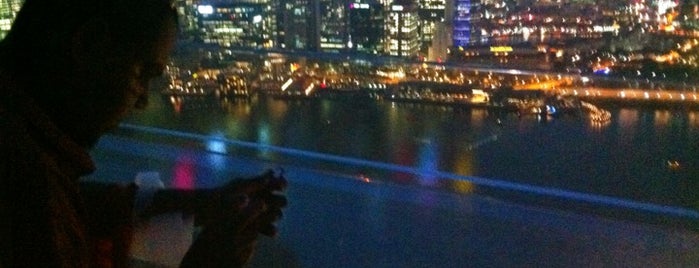 Marina Bay Sands Hotel is one of Best Hotel.