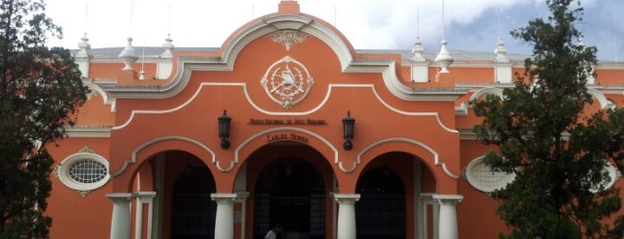 Museo de Arte Moderno "Carlos Mérida" is one of Guatemala.