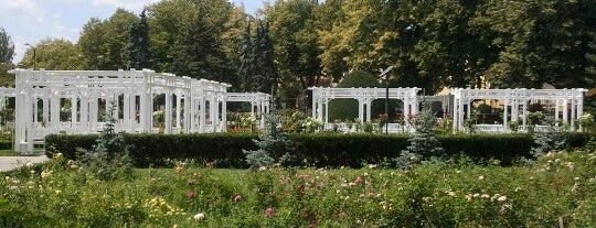Parcul Rozelor is one of Locais curtidos por Seli.