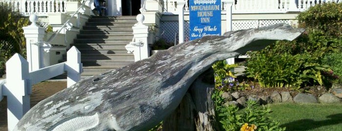 MacCallum House Restaurant, Grey Whale Bar & Cafe is one of Fun things to do in Mendo.