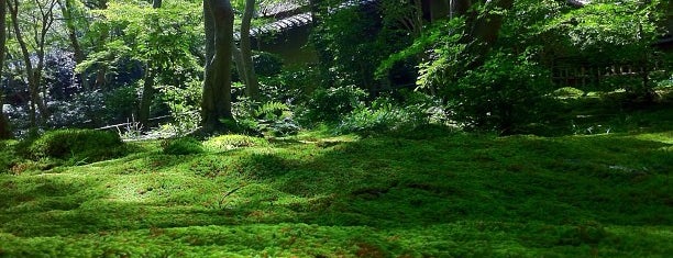 祇王寺 is one of 「そして、京都で逢いましょう。」紹介地一覧.