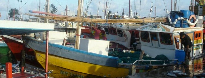 Beruwala Fishing Harbor is one of Trips / Sri Lanka.