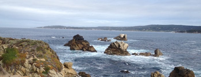 Point Lobos State Reserve is one of Big Sur & environs.