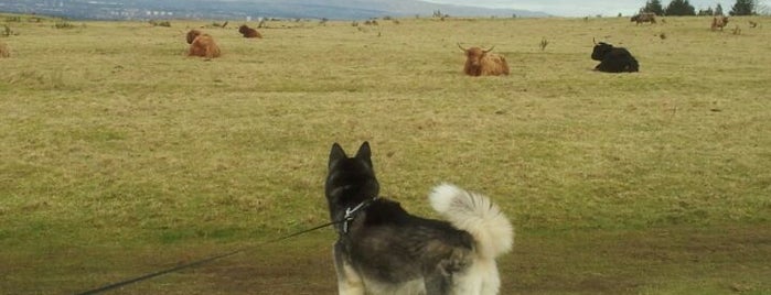 Gleniffer Braes Country Park is one of Places In Scotland Ive Been To.