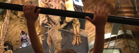 Melbourne Museum is one of meetoo.com.au reviews for places to go with kids.
