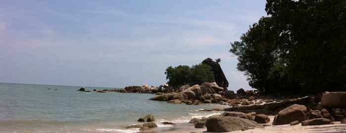 Monkey Beach (Teluk Duyung) is one of 檳城 Penang.