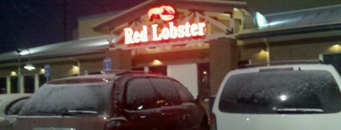 Red Lobster is one of Orte, die Cindy gefallen.