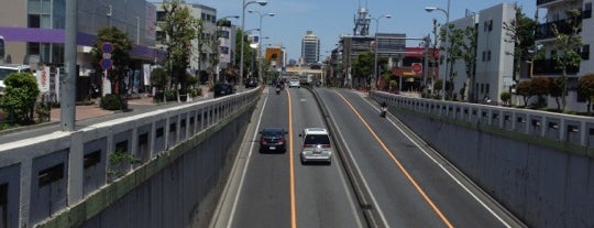 若林陸橋 is one of 環状七号線（環七）.