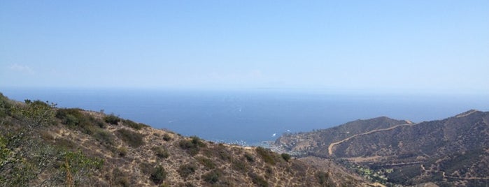 East Catalina Trail Peak is one of Los Angeles.