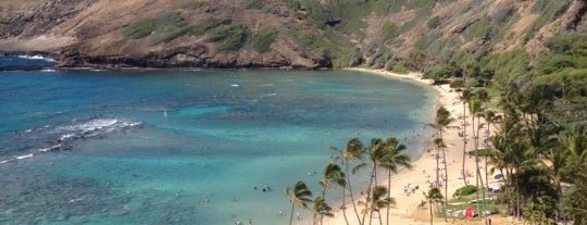 Hanauma Bay Nature Preserve is one of Travel Guide to Honolulu.