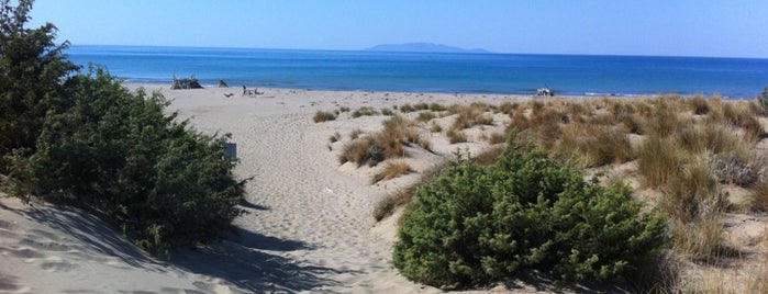 Parco della Maremma is one of Lugares guardados de Andrea.