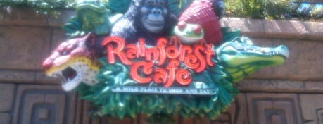 Rainforest Cafe is one of Downtown Disney District.