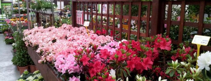 Garden Center is one of Tempat yang Disukai Juan.