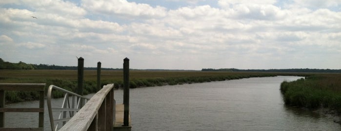 James Island CP Fishing Dock is one of Common Places to Be.