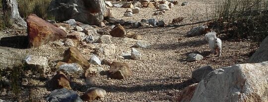 Jeffrey Road Open Space Trail is one of Jackie'nin Kaydettiği Mekanlar.