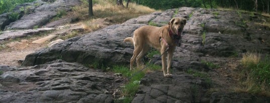 Garret Mountain Reservation is one of Been there-done that.