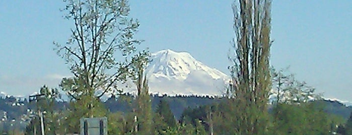 Mt. Rainier Visitor Center is one of ELS/Seattle.