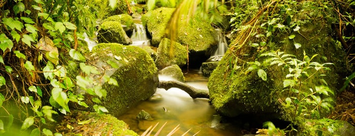 Reserva Bosque Nuboso Monteverde is one of Viaje a Costa Rica.