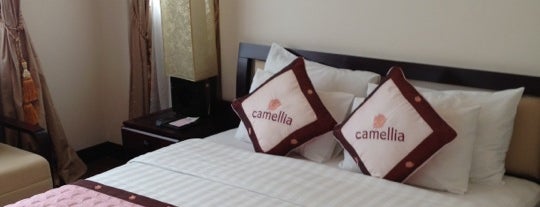 Camellia Hue Hotel is one of Huế.