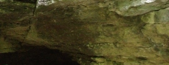 Scoharie Caverns is one of Places.