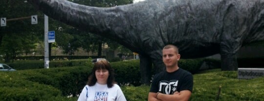 Carnegie Museum of Natural History is one of pitt.